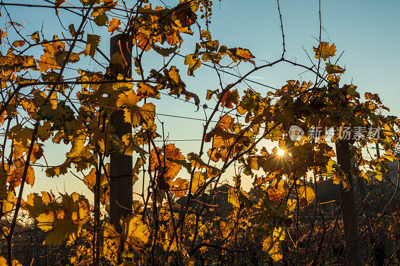 福洛，瓦尔德哈丁的节礼日——秋天/冬天的普罗塞科山